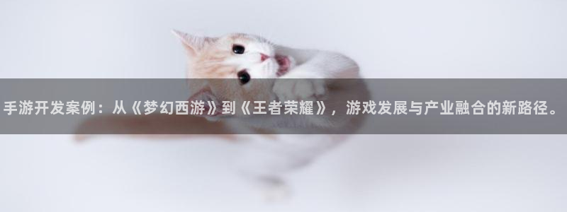 万赢娱乐情感客服：手游开发案例：从《梦幻西游》到《王者荣耀》