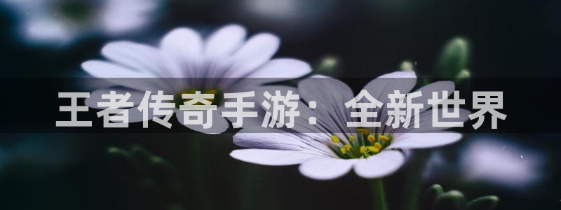 万赢娱乐平台网站：王者传奇手游：全新世界