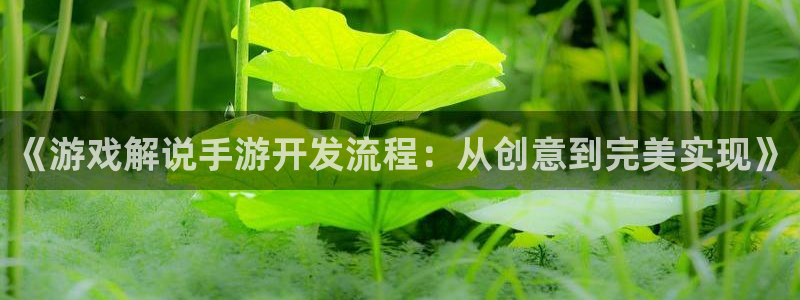 万赢娱乐正规吗：《游戏解说手游开发流程：从创意到完美实现》