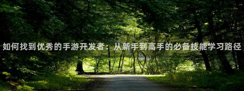 万赢娱乐最新通道：如何找到优秀的手游开发者：从新手到高手的必