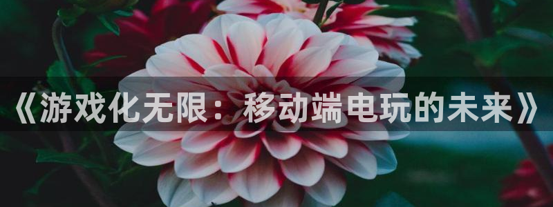 万赢娱乐论坛：《游戏化无限：移动端电玩的未来》