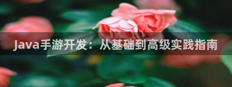 万赢娱乐平台网站：Java手游开发：从基础到高级实践指南