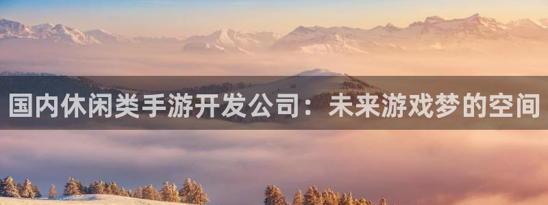 万赢娱乐评论区：国内休闲类手游开发公司：未来游戏梦的空间
