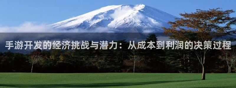 万赢娱乐官网：手游开发的经济挑战与潜力：从成本到利润的决策过