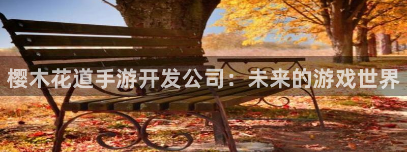 万赢娱乐的官方网址是什么?：樱木花道手游开发公司：未来的游戏