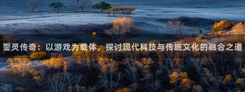 万赢娱乐：誓灵传奇：以游戏为载体，探讨现代科技与传统文化的融