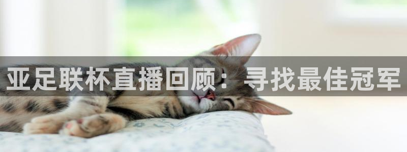 体育直播so米：亚足联杯直播回顾：寻找最佳冠军