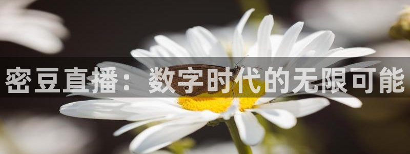 so米体育nba直播免费观看：密豆直播：数字时代的无限可能