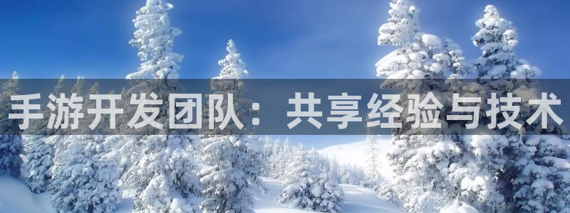 万赢娱乐最新登录入口：手游开发团队：共享经验与技术