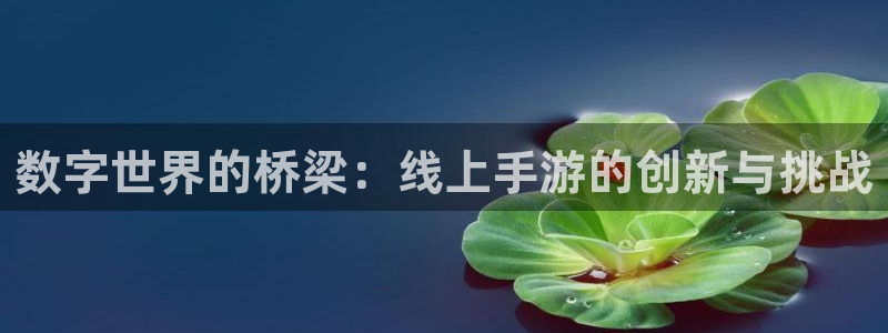 万赢娱乐官网网址：数字世界的桥梁：线上手游的创新与挑战