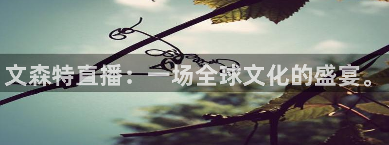 so米体育直播官网：文森特直播：一场全球文化的盛宴。
