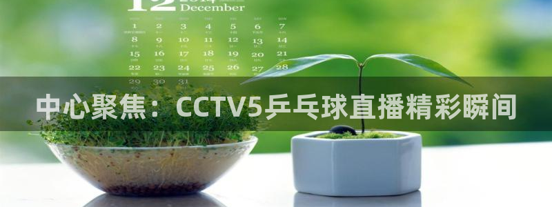 so米体育直播在线观看直播：中心聚焦：CCTV5乒乓球直播精彩瞬间