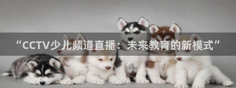 so米体育直播篮球：“CCTV少儿频道直播：未来教育的新模式”