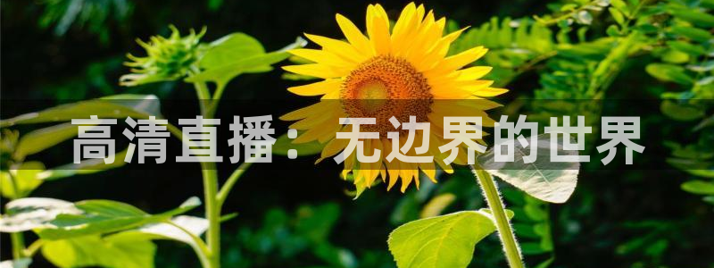 so米体育在线高清直播：高清直播：无边界的世界