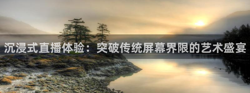 so米比赛直播：沉浸式直播体验：突破传统屏幕界限的艺术盛宴