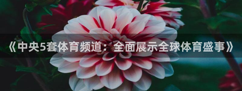 足球直播so米
